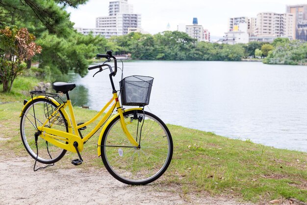 Fahrrad im Stadtpark