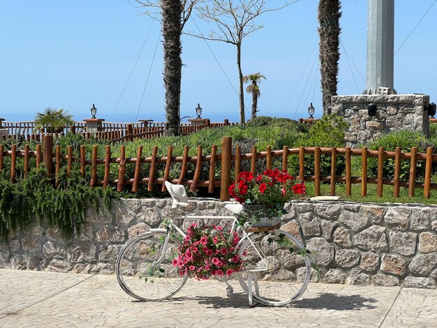 Fahrrad mit Blumen am Kofferraum steht im Park