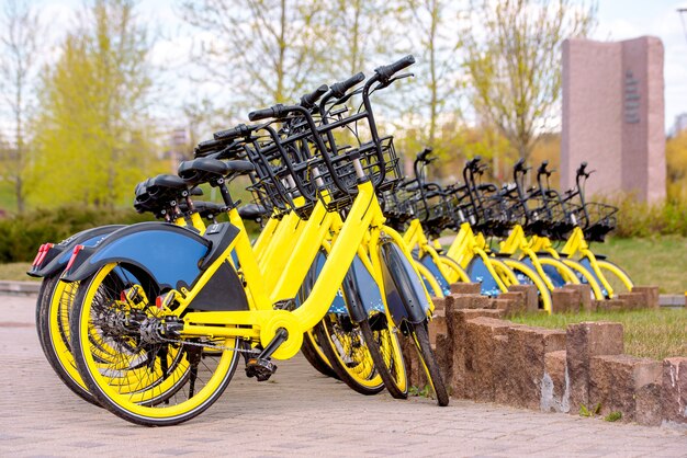 Fahrrad teilen in Europa. gesunder Spaziergang.