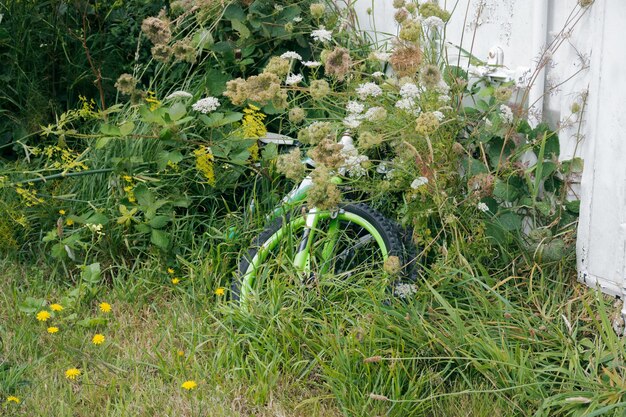 Fahrrad teilweise durch zugewachsene Rasenflächen und Unkraut verdeckt