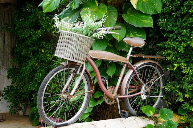 Fahrradgartenarbeit mit einer Blume im Garten