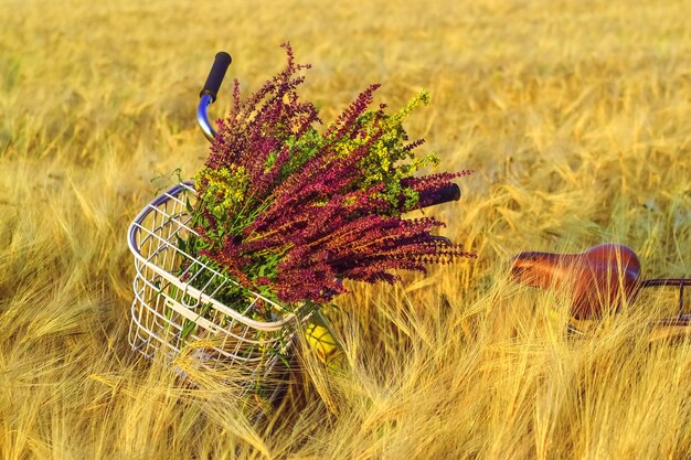 Fahrradkorb Lenker Blumen Weizenfeld