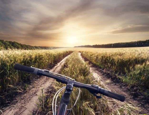 Fahrradlenker auf einer Landstraße mit Spike