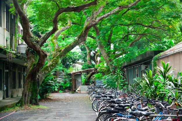 Fahrradparkplatz Universitätscampus Fahrrad