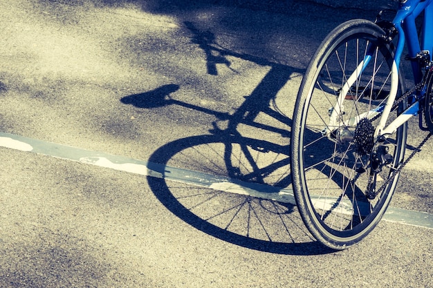 Fahrradrad und -schatten auf Fahrradweg in einem Park.