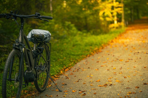 Fahrradtour im Herbstwald an sonnigen warmen Tagen