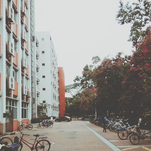 Fahrräder, die am Gebäude gegen den Himmel geparkt sind