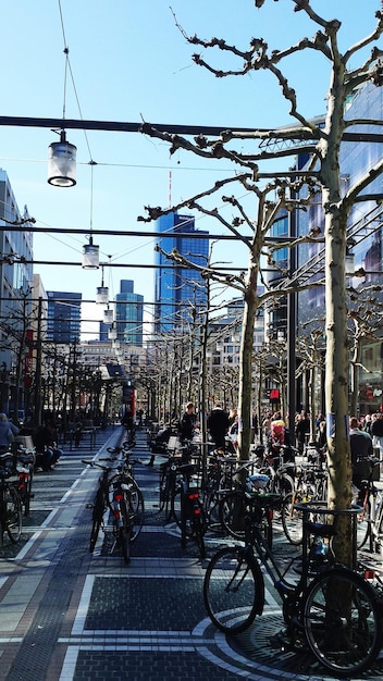 Foto fahrräder, die in der zeil street geparkt sind