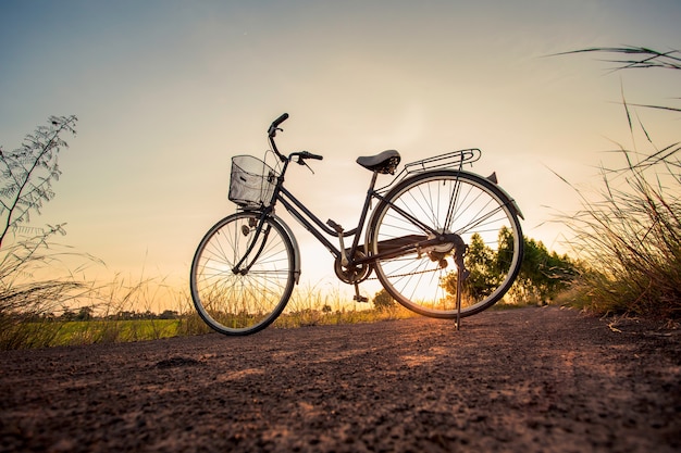 Fahrräder geparkt in der Wiese