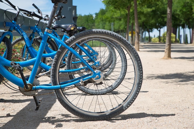 Fahrräder im Park Fahrradreihe Natur und Radfahren