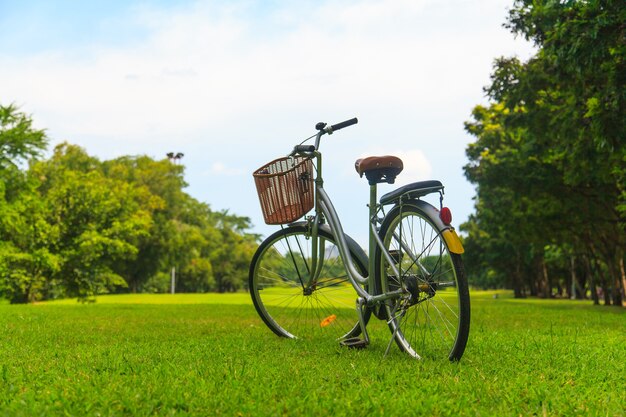 Fahrräder im Park