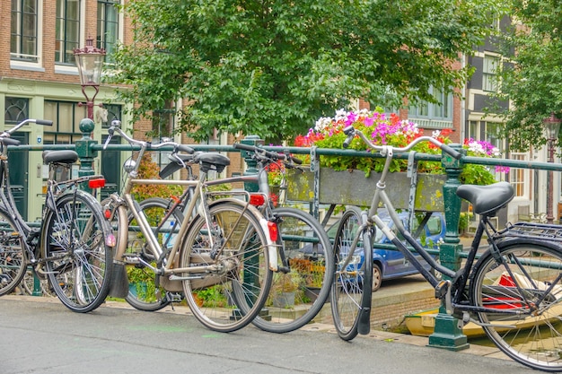 Fahrräder und Blumen in der Nähe des Geländers der Amsterdamer Brücke