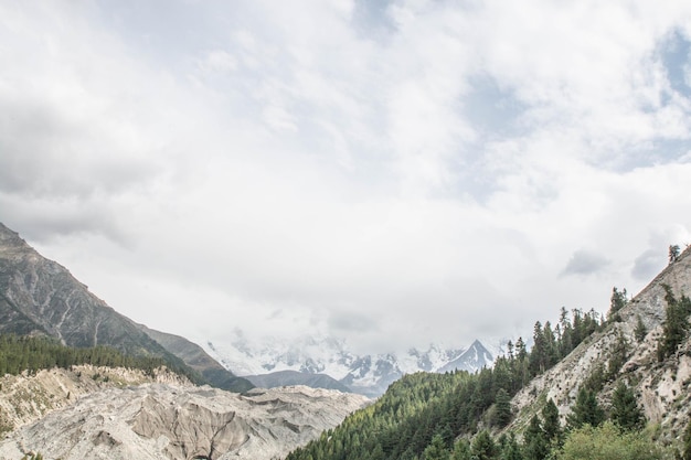 Fairy Meadows Nanga Parbat Hermoso Paisaje Montañas Vista