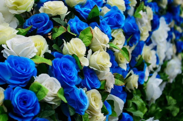 Foto fake blue und white rose flower.