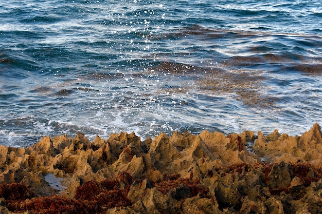 falésias na costa atlântica