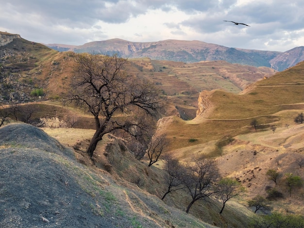 Falha na rocha. paisagem de montanha verde única com terraços verdes e céu azul nublado. seção geológica, falha na distância. fundo de rochas inimagináveis.