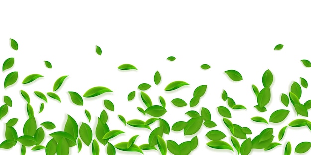 Fallende grüne Blätter Frischer Tee chaotische Blätter fliegen Frühlingslaub tanzt auf gelbgrünem Hintergrund Amüsante Sommer-Overlay-Vorlage Ekstatische Frühlingsverkaufs-Vektorillustration