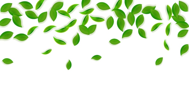 Fallende grüne Blätter Frischer Tee ordentliche Blätter fliegen Frühlingslaub tanzt auf gelbgrünem Hintergrund Amüsante Sommer-Overlay-Vorlage Majestic Spring Sale Vector Illustration