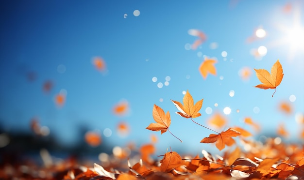 Fallende Herbstblätter im farbenfrohen Himmel. Schöne Herbstlandschaft mit gelben Bäumen und bunter Sonne