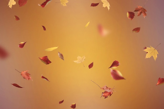 fallender herbstlaub hintergrund abstrakter jahreszeitlicher hintergrund oktober