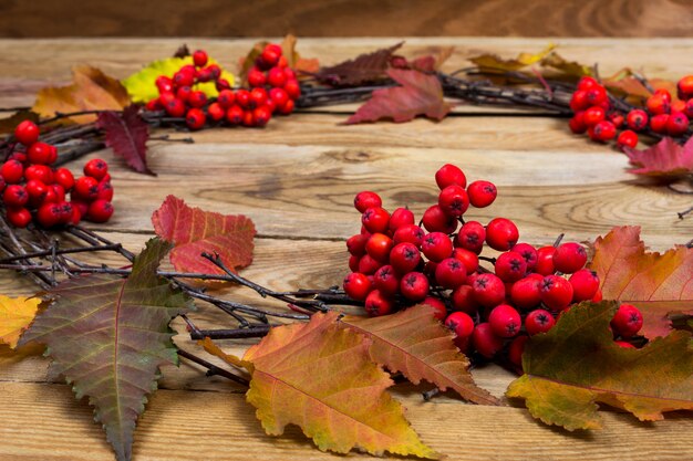 Fallkranz mit Blättern und rrowan Beeren auf hölzernem Hintergrund