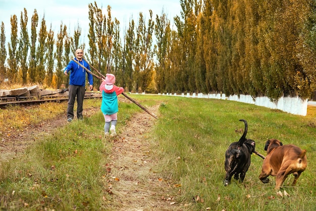 Familia en un activo paseo otoñal con sus amigos perros de cuatro patas