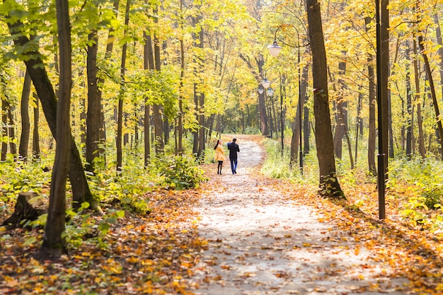 Família adorável caminhando na floresta de outono Estilo de vida saudável