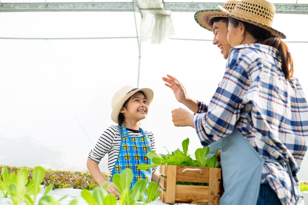 Familia de agricultores asiáticos mantener vegetales hidropónicos en canasta de madera. Tailandeses felices haciendo actividad en la granja orgánica. Agrícola de Asain jardinero.