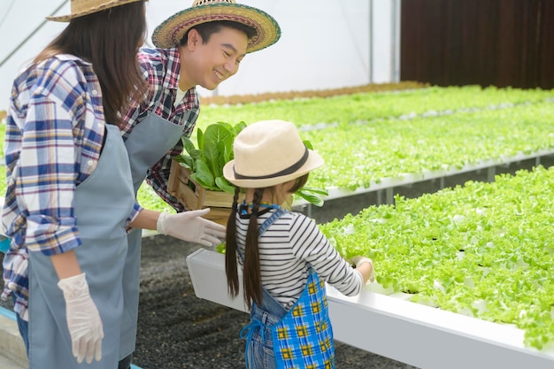 Una familia de agricultores feliz que trabaja en una granja de invernadero hidropónico, alimentos limpios y un concepto de alimentación saludable