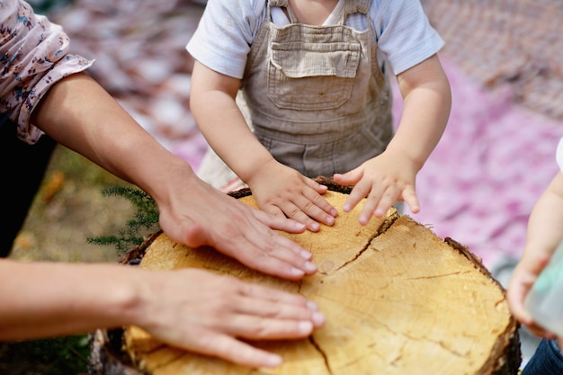 Família brincando com uma árvore