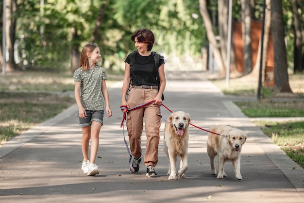 Familia caminando con perros golden retriever en el parque. Madre, hija y dos mascotas de perrito al aire libre en verano