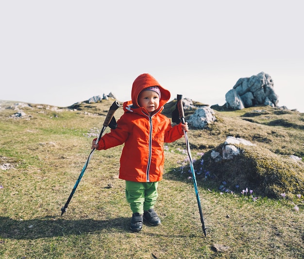 Família caminhadas ao ar livre nas montanhas natureza da primavera na eslovênia europa velika planina ou big pasture plateau nos alpes kamnik temporada de açafrão roxo florescendo ou açafrão violeta nas montanhas alpes