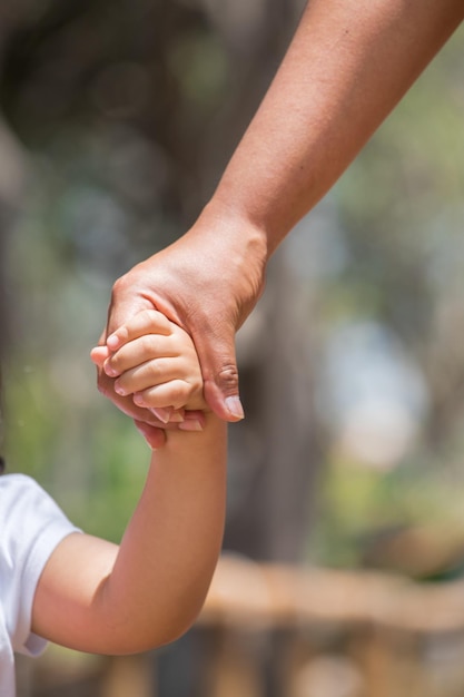 Família caminhando pelo parque em um dia brilhante de verão