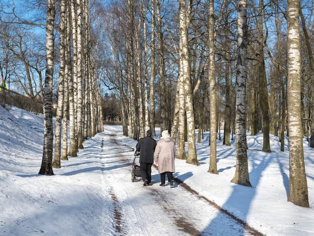 Familia con un cochecito en el parque de invierno. Callejón de abedul. Paseo familiar en el bosque de invierno