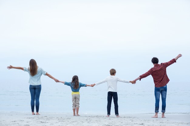 Familia cogidos de la mano mientras está de pie en la orilla del mar