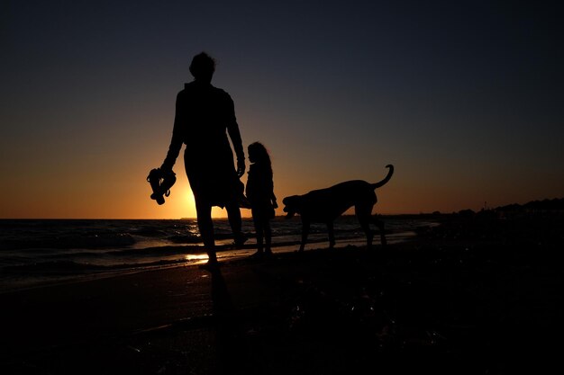 Foto família com cachorro caminhando na praia contra o céu durante o pôr do sol