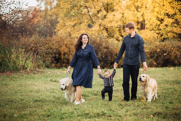 Família com uma criança e dois retrievers dourados em um parque de outono