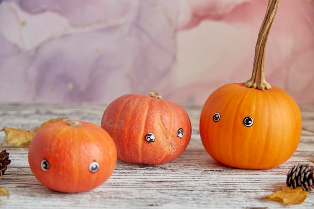 Família de abóbora fofa de ação de graças com olhos Abóboras sazonais de halloween festivas Estética de outono