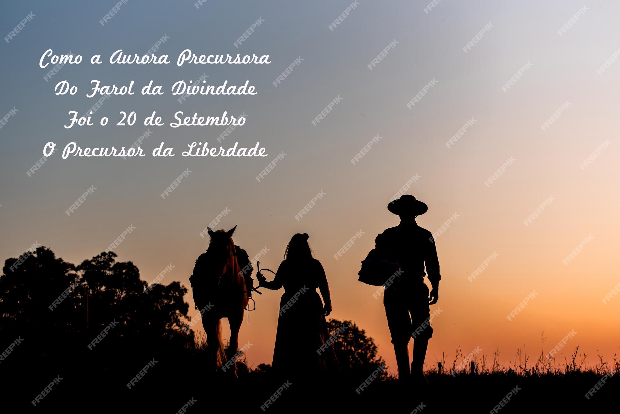 Frases com Cavalos