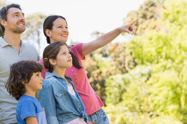 Família de quatro no parque