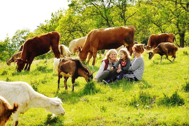 La familia está sentada en el prado con vacas y cabras