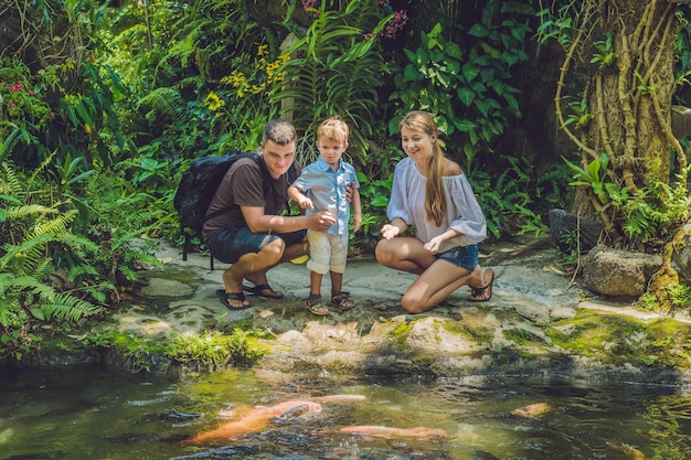 Familia feliz alimentando coloridos bagres en estanque tropical