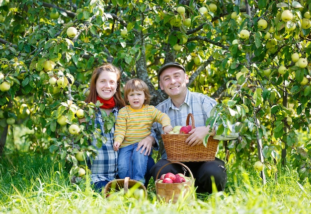 Familia feliz cosechas de manzanas en un jardín al aire libre