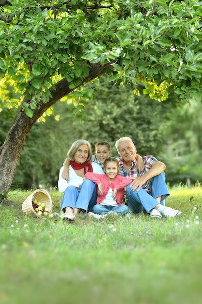 Familia feliz descansando en un parque de verano con manzanas