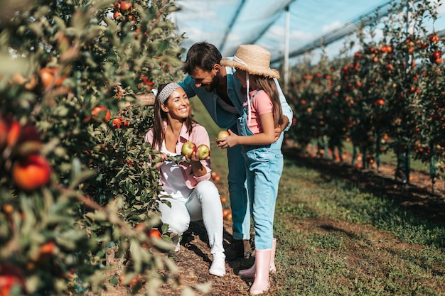Família feliz desfrutando juntos enquanto colhe maçãs no pomar.