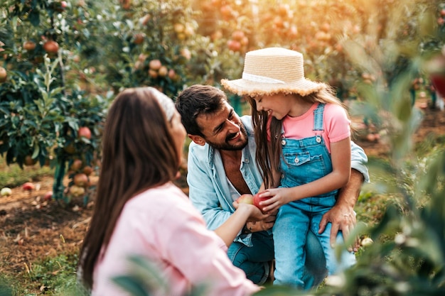 Familia feliz disfrutando juntos mientras recogen manzanas en el huerto.