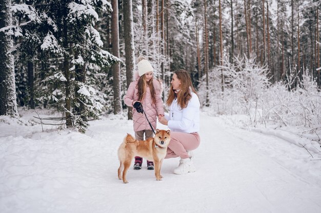 Família feliz, jovem mãe e uma linda garotinha com outwear quente rosa andando se divertindo com o cachorro shiba inu vermelho na floresta de inverno frio branco nevado ao ar livre