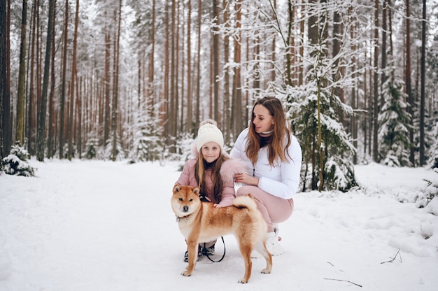 Família feliz, jovem mãe e uma linda garotinha com outwear quente rosa andando se divertindo com o cachorro shiba inu vermelho na floresta de inverno frio branco nevado ao ar livre