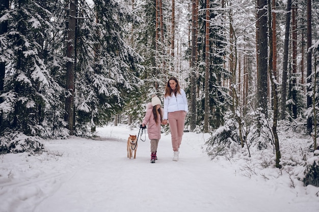 Família feliz, jovem mãe e uma linda garotinha com outwear quente rosa andando se divertindo com o cachorro shiba inu vermelho na floresta de inverno frio branco nevado ao ar livre