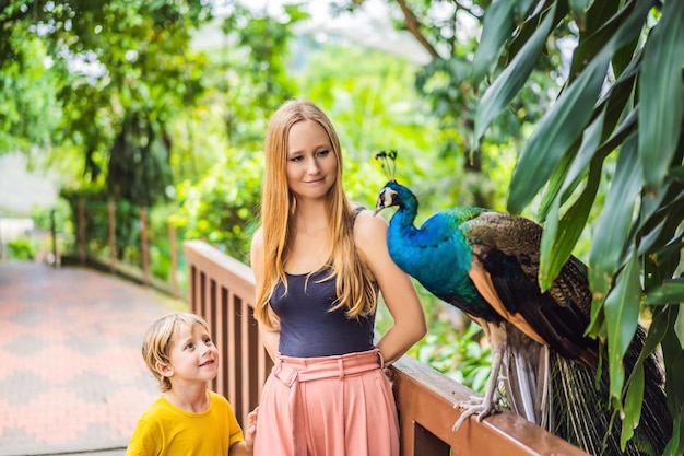 Família feliz mãe e filho assistindo pavão no parque